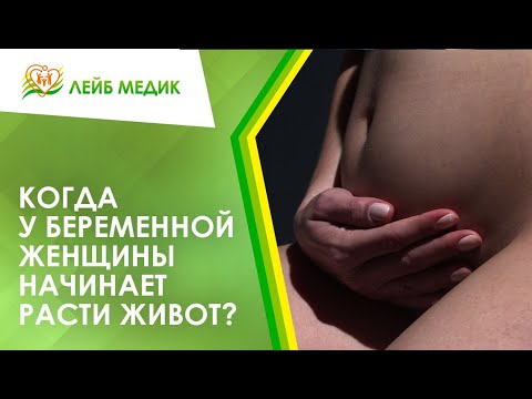 Видео: lgQSdAP1pXU