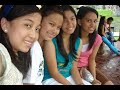 danzone fnal