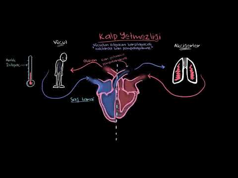 Khan Academy - Kalp Yetmezliği Nedir? (Fen Bilimleri) (Sağlık ve Tıp) - 2021.01.12