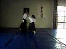 Nikkyo kotegaeshi  udekeminague