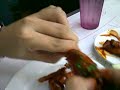 My Futile Attempt to eat a Chicken Wing