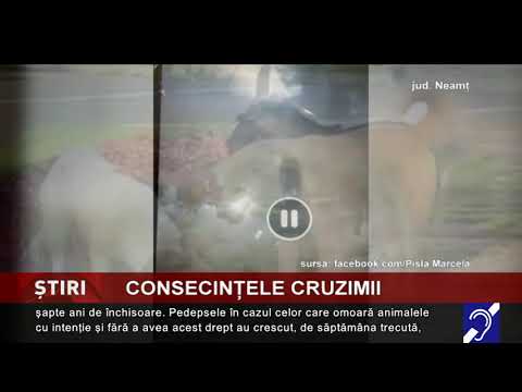 Consecințele cruzimii