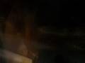 videos de Chase