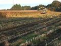 ensilage 2008 finistere