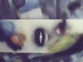snake eye galaxy