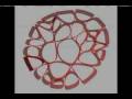 Grasshopper Voronoi Study