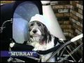 90's Commercials Vol. 109