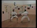 KARATE CALTANISSETTA TECNICHE DI KUMITE tot KARATE CALTANISSETTA TECNICHE DI KUMITE tot