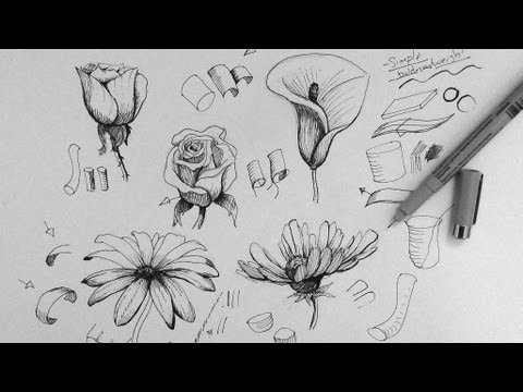 how to draw flowers step by step