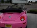 Pink Volkswagen Beetle Stk# 7998 VIN# 3VWRF31YX6M305973