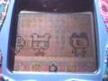 Tamagotchi Familitchi Marriage