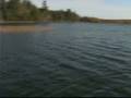 videos de PT Smallmouth Bass Part 2