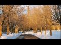 a-week-on-the-street-part-i.html