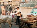 DelhiByCycle Updated Movie May 2010