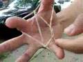 Ten-Point Rubber Band Star 