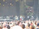 Brain (ACL 9/26/08)