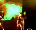 MI PRIMITAH BAILANDO REGGE