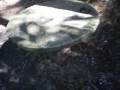 le parkour - venom clã - treinamento com sig e sawer