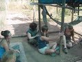 Playing with Baby Vervet Monkeys