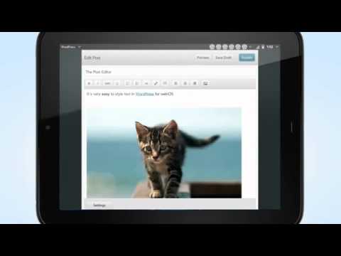 Imagen de previsualización de YouTube