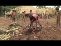 Sacrificios humanos: indios salvajes asesinando niños