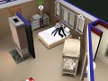 The Sims