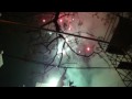 Valencia,Fallas,crema