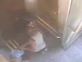 Panic at Washington Monument during quake caught on tape