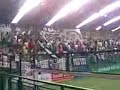 galo invadiu pioxii no showbol!