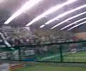 galo invadiu pioxii no showbol!