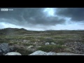 The Musk Ox - Survivors: Nature's Indestructible Creatures - BBC Four