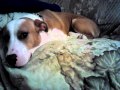 I sowwie Momma