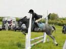 reg welsh section a , one in a million little pony .