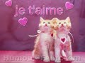 prout prout prout que je t'aime