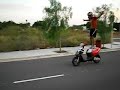 CAMBRILSX-TREME CAMBRILSX-TREME