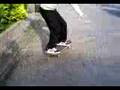 videos de ???handollie???