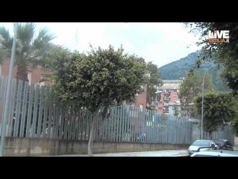 Immagine anteprima YouTube