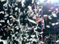 KISS - Rock and Roll All Nite (Sarnia Bayfest 2009)