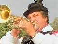 Ansambel Bratov Avsenik - Vsa vas je na nogah