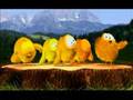 Sweety - Das Küken