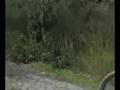 videos de Entrenando por Nanacamilpa Tlaxcala(3)