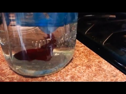 video-linktoworks-HOW TO- PROPERLY CLEAN A BETTA TANK QUICK & EASY!