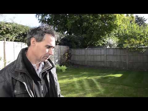 how to get rid of japanese knotweed uk