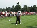 Tiger Swing