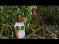 Amazon John and how we can all help the planet