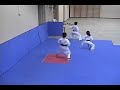 Heian nidan bunkai omote (kumite)