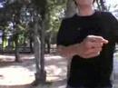 courtez skate