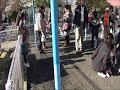 コモド・リターンズ