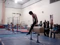 Barrett pommel horse