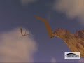 Silithus / AQ Exploid Silithus / AQ Exploid